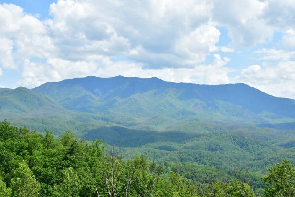Smoky Mountains in the summer