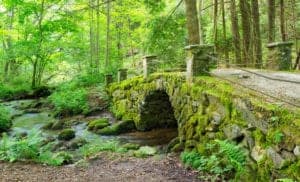 troll bridge in elkmont in the smoky mountains